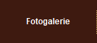 Fotogalerie