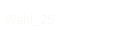 Wahl_25