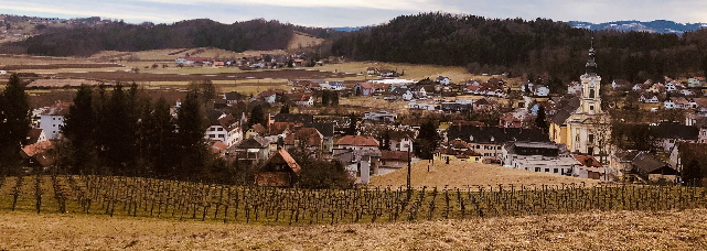 Wies von oben Kopie